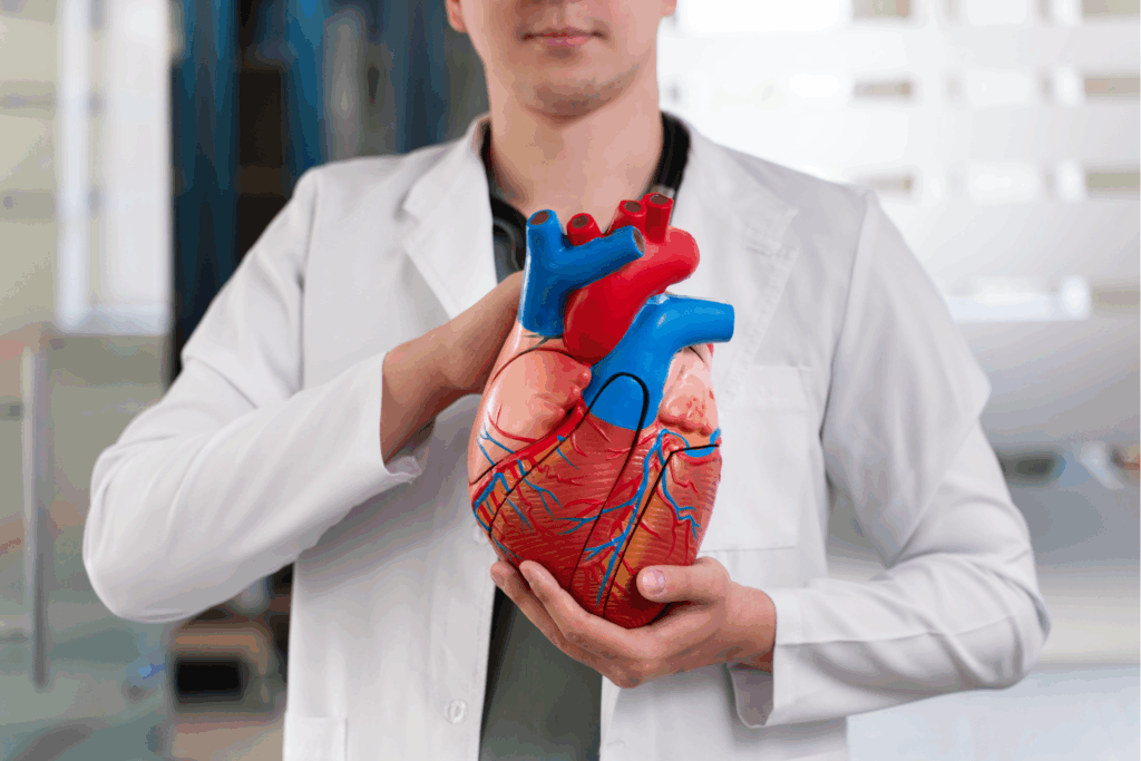 Mortalidade por doenças cardiovasculares